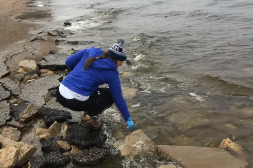 Student collecting samples from lakeshore